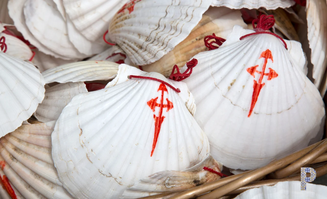 Camino-schelpen Dag 10 van Caminho Português | 13-daagse wandelvakantie, natuurlijk bij Portucale.