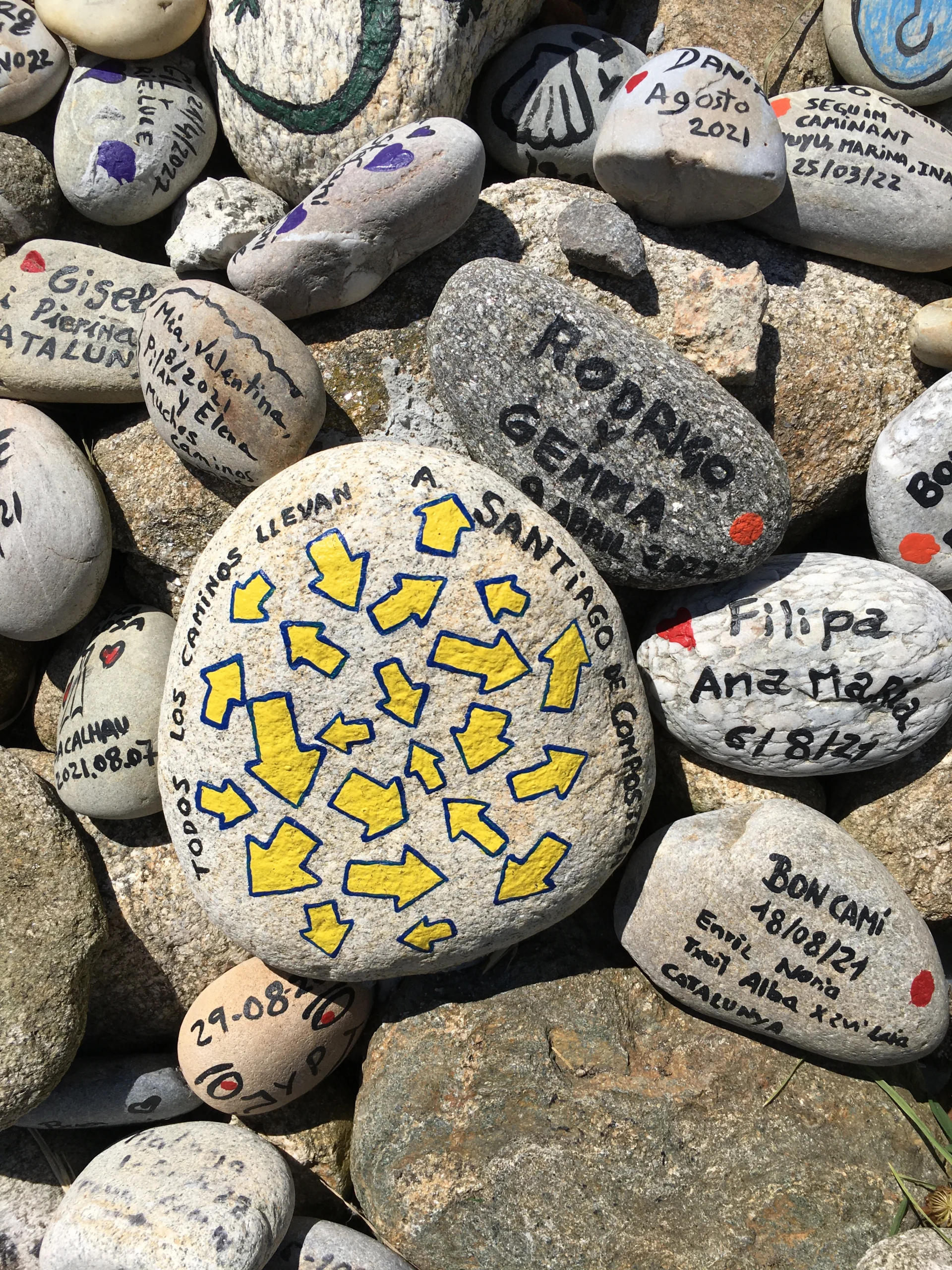 IMG_5214 Dag 7 van Caminho Português | 13-daagse wandelvakantie, natuurlijk bij Portucale.