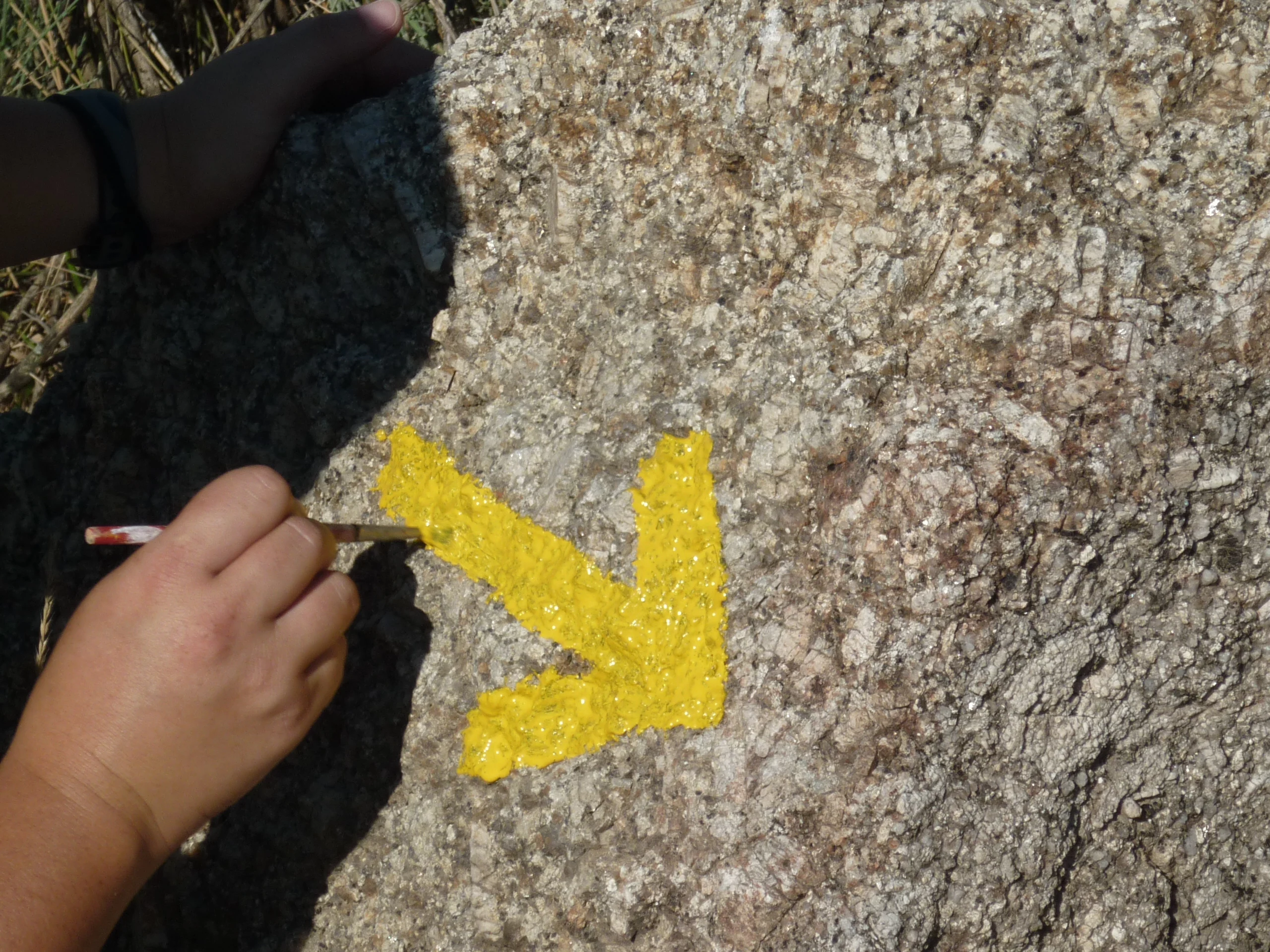 Camino Portugués Dag 2 van Caminho Português | 13-daagse wandelvakantie, natuurlijk bij Portucale.