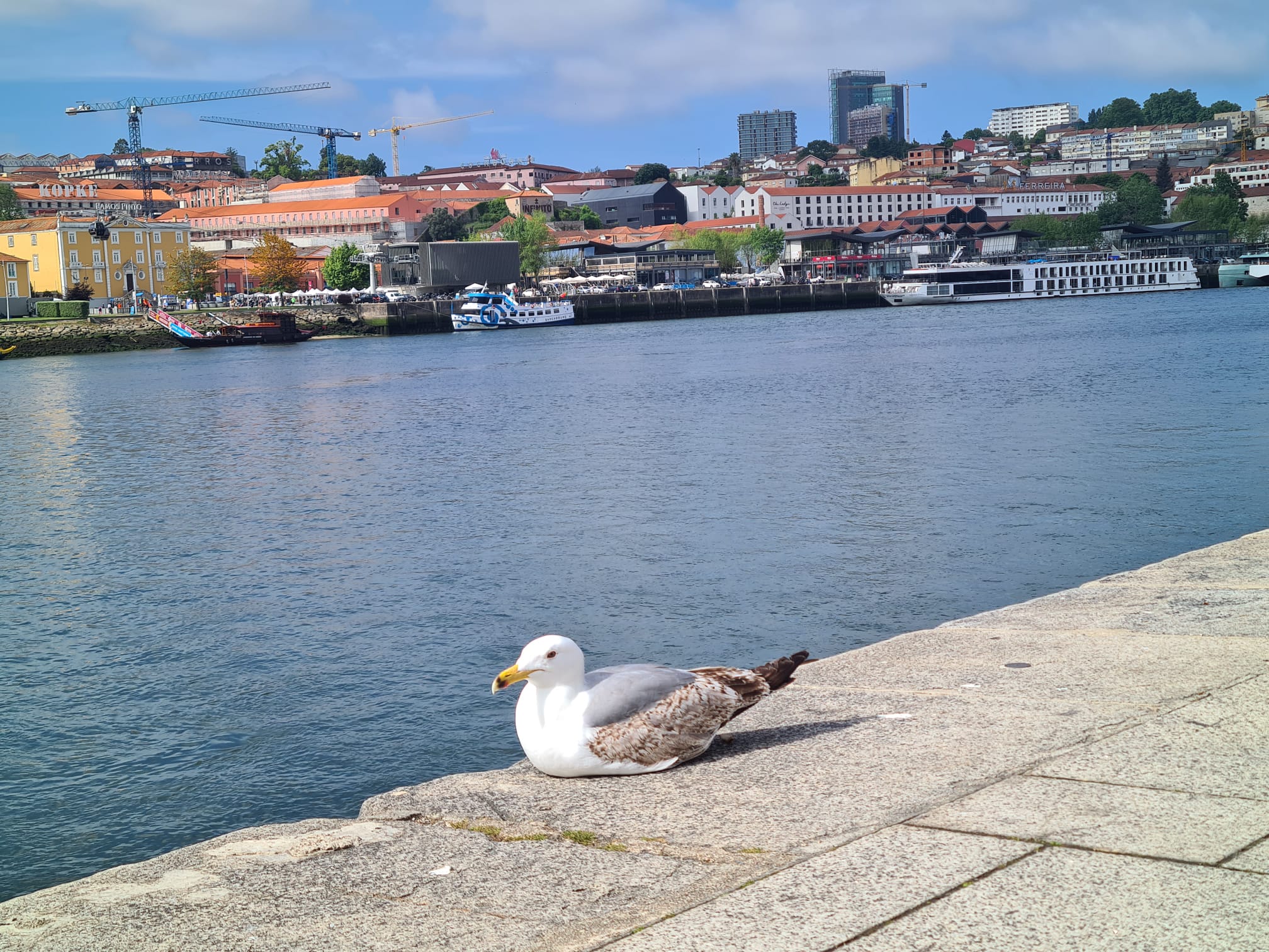 Dag 8 van Gerês (incl. etappe Camino de Santiago) | 8-daagse wandelreis, natuurlijk bij Portucale.