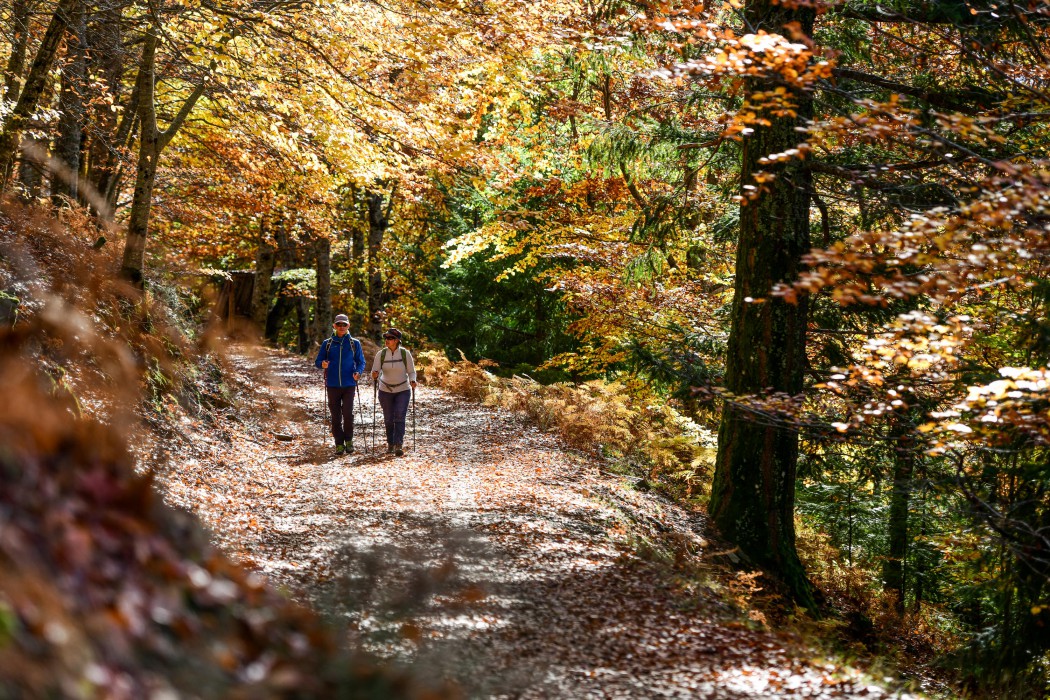 Dag 2 van Serra da Estrela | 7-daagse wandelreis, natuurlijk bij Portucale.