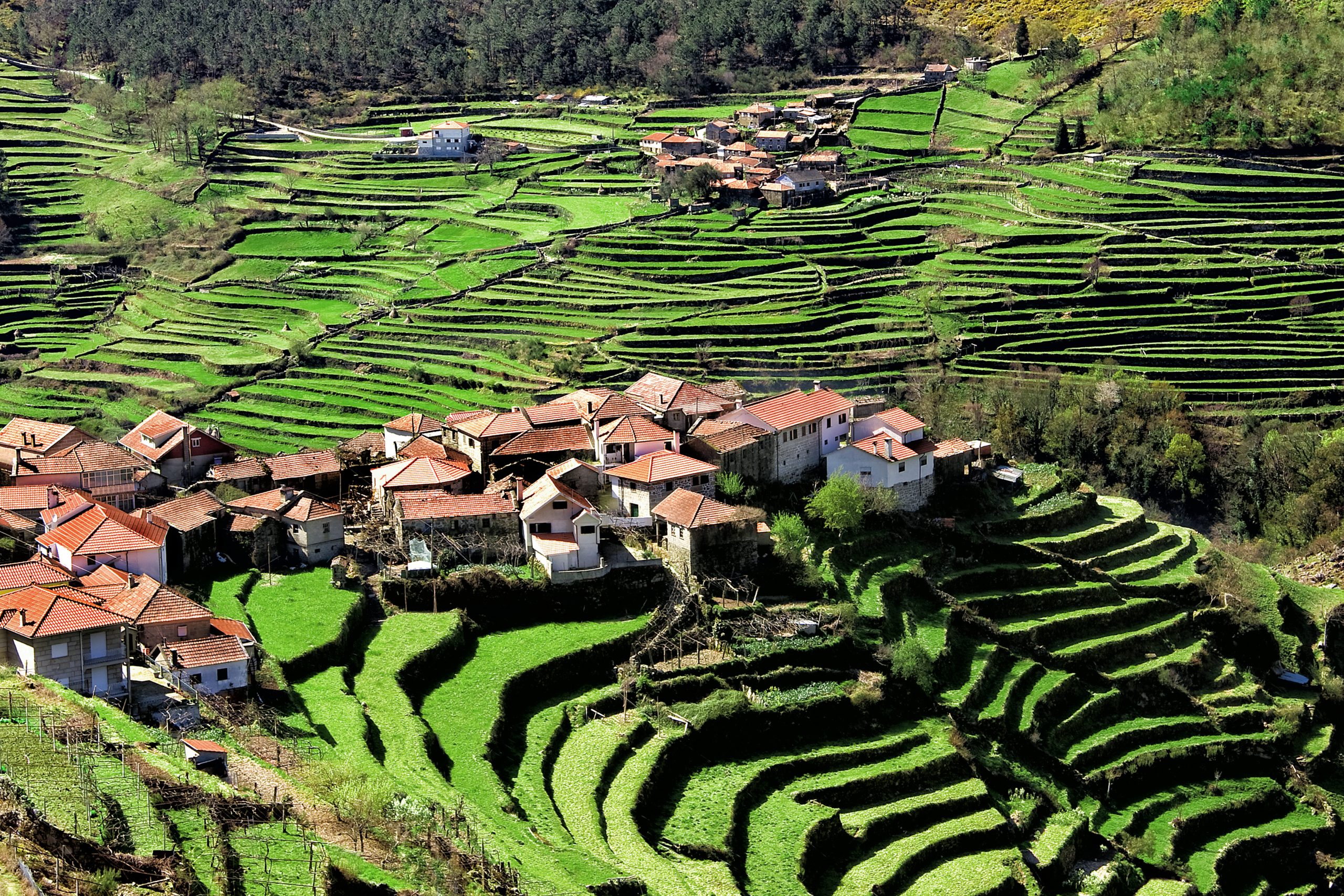 Dag 2 van Gerês (incl. etappe Camino de Santiago) | 8-daagse wandelreis, natuurlijk bij Portucale.