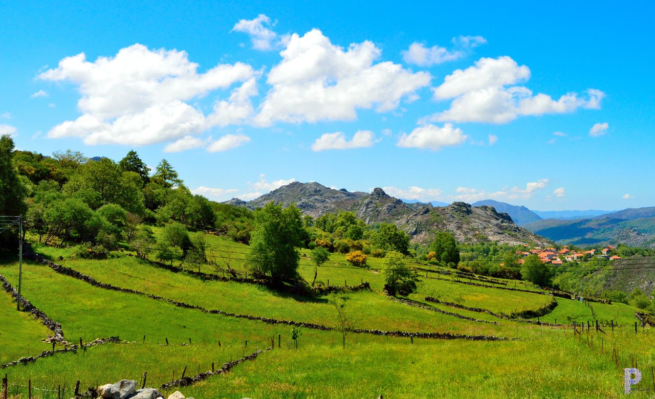 Dag 1 van Gerês (incl. etappe GR50) | 8-daagse wandelreis, natuurlijk bij Portucale.