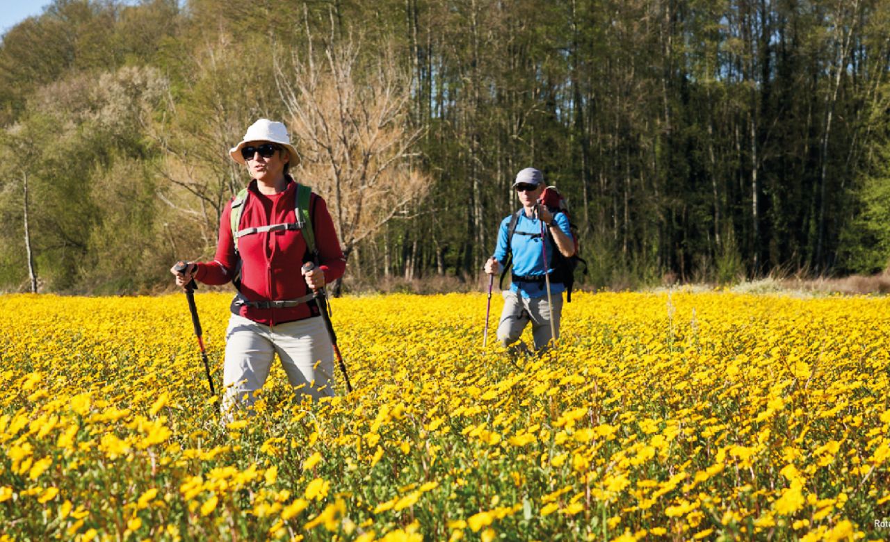 Dag 5 van Carmelita Way | 9-daagse wandelreis, natuurlijk bij Portucale.