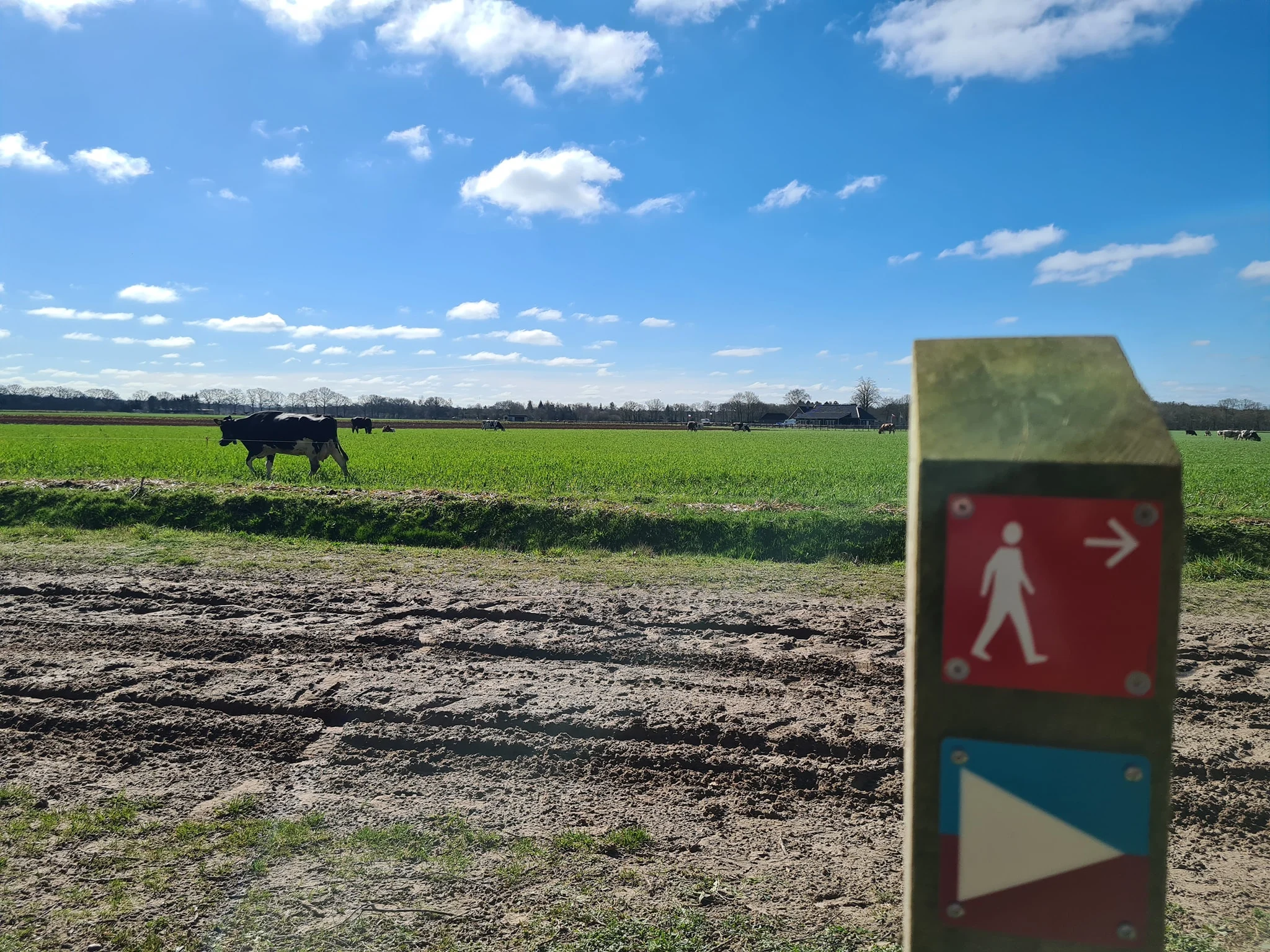 A Taste of Portucale – gratis kennismakingswandeling